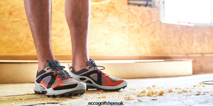 Ecco BIOM C-TRAIL Low Shoes Fire-Gravel-Wild Dove Men Shoes Fire- Ecco Official Website