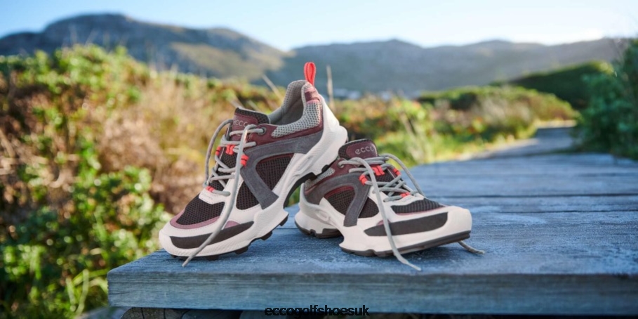 Ecco BIOM C-TRAIL Low Shoes Shadow White-Wine-Black Women Shoes White- Ecco Online Shopping