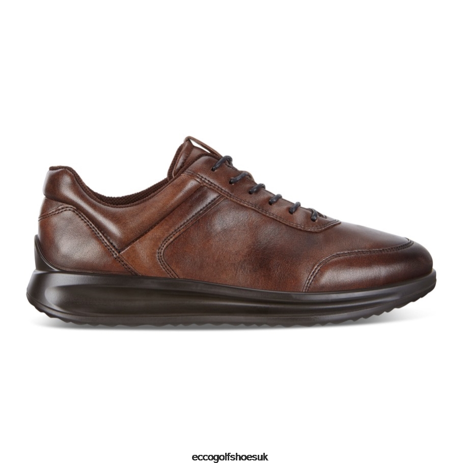 Ecco AQUET Sneaker Cocoa Brown Men Shoes Brown- Ecco UK Store