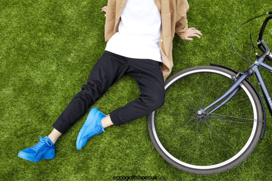 Dynasty-Dynasty-Transparent