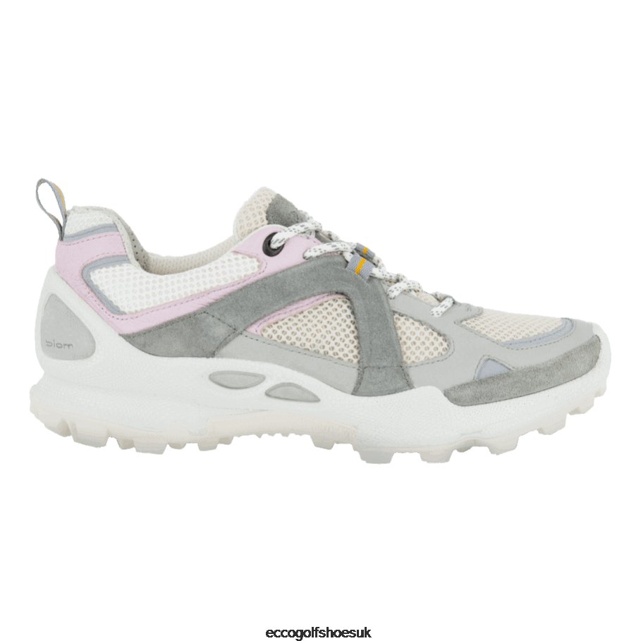 Multicolor Wild Dove