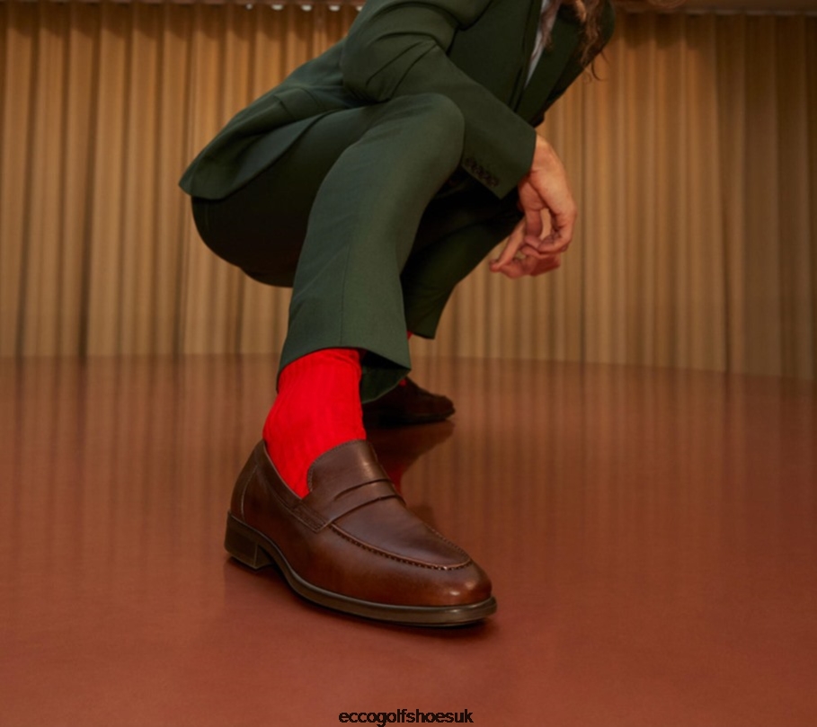 Ecco CITYTRAY Penny Loafer Cocoa Brown Men Shoes Brown- Ecco Online Shopping