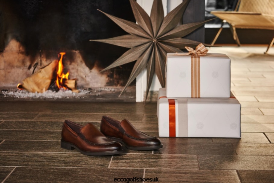 Ecco VITRUS III Slip On Cocoa Brown Men Shoes Brown- Ecco UK Store